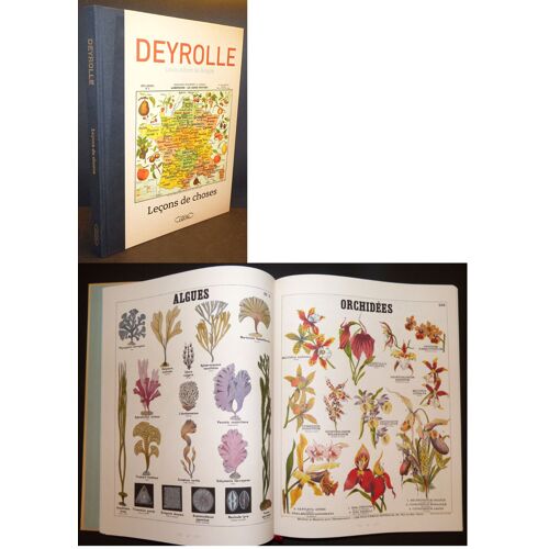 Deyrolle : Leçons De Choses