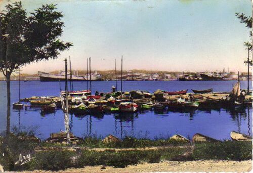 Carte Postale Magnifique De Port-De-Bouc, Bouches Du Rhône (13) / Provence(Lavéra, L'anse Des Fourmis) °°°