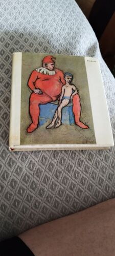 Picasso (Biographical And Critical Studies)