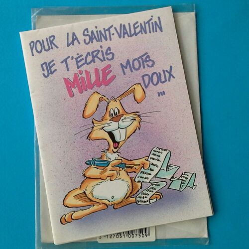 Carte Postale Double Avec Enveloppe Saint Valentin Lapin Mille Mots Doux Bisous  Câlins  Je T'aime