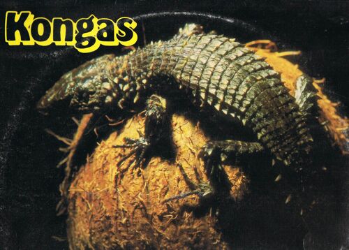 Rocket In The Pocket