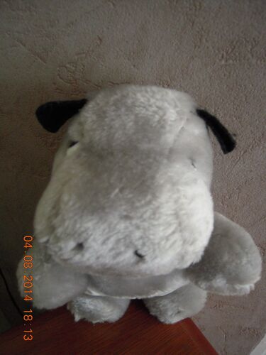 Hippopotame Joual