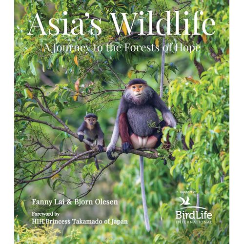 Asia's Wildlife