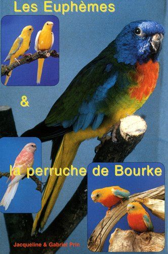 Les Euphèmes Et La Perruche De Bourke