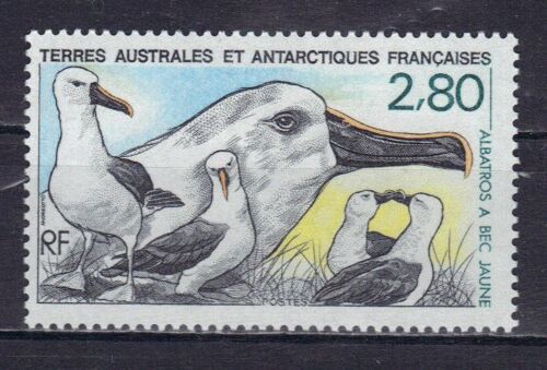 Terres Australes Et Antarctiques Francaises 1990 (Taaf) : Faune : Oiseau : L'albatros À Bec Jaune - Timbre 2 F. 80 Multicolore Neuf **