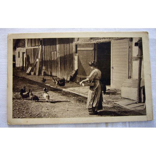 Carte Postale Ancienne ( Chocolat Klaus) Morteau/France La Fermière Et Ses Poules
