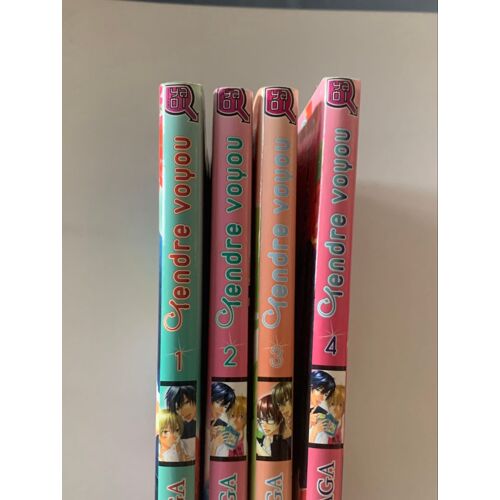 Série Manga Yaoi Tendre Voyou 