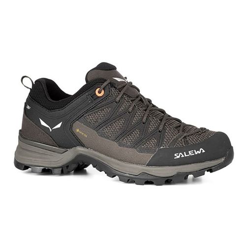 Salewa Mountain Trainer Lite Gore-Tex Femme Gris - 42