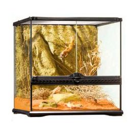 Exoterra Terrarium En Verre Pour Reptiles Et Amphibiens 20x20x30 Cm