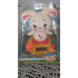 Géomancie Objet Décoratif Solaire Lapin