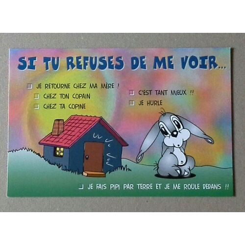 Carte Postale Lapin Humour Si Tu Refuses De Me Voir ... 67 Les Inédites De Samy Et Suzy