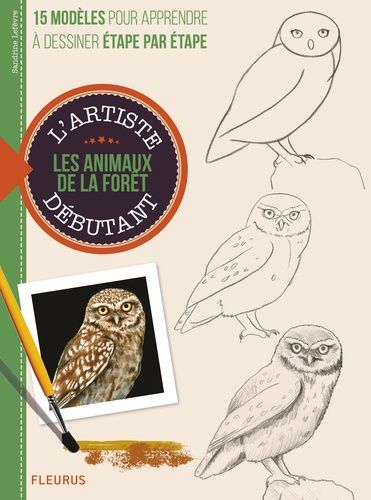 Animaux De La Forêt