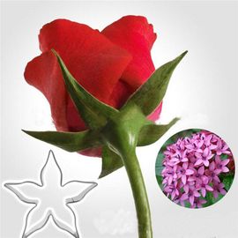 Emporte-Pièces En Acier Inoxydable, Outil De Décoration De Gâteau Fondant De Fleurs D'abricot