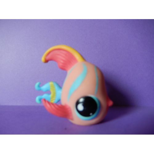 Poisson Scalaire N° 643