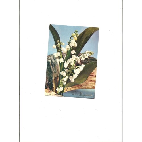 Muguet Porte Bonheur