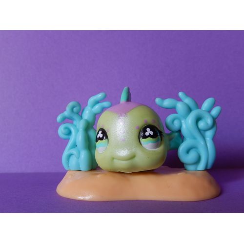 Poisson Clown N° 514