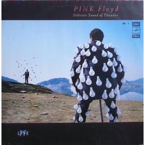 Delicate Sound Of Thunder N°1