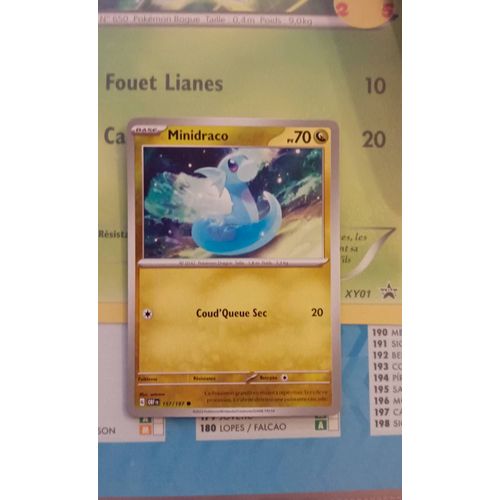 Carte Minidraco Pokemon