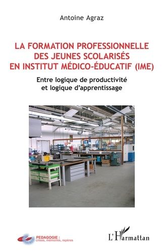 La Formation Professionnelle Des Jeunes Scolarisés En Institut Médico-Éducatif (Ime) - Entre Logique De Productivité Et Logique D'apprentissage