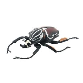 Statue D'insecte En Pvc,Modèle De Sauterelle,Libellule,Grenouille,Figurine Miniature,Apprentissage Précoce,Jouet Éducatif De Bureau - Type L