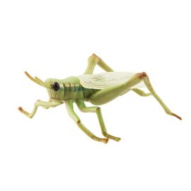 Statue D'insecte En Pvc,Modèle De Sauterelle,Libellule,Grenouille,Figurine Miniature,Apprentissage Précoce,Jouet Éducatif De Bureau - Type D