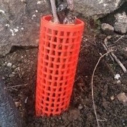 Protection ; Vignes , Les Jeunes Arbres ,Plante Etc..