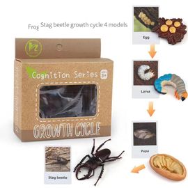 Figurines D'action Papillon Et Grenouille Jetables,Jouet De Simulation,Modèle De Subvention De Croissance Des Animaux,Éducation Mocntessori,Mignon Danemark Y - Type Stag Beetle-A