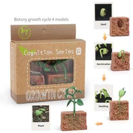 Figurines D'action Papillon Et Grenouille Jetables,Jouet De Simulation,Modèle De Subvention De Croissance Des Animaux,Éducation Mocntessori,Mignon Danemark Y - Type Plant-A