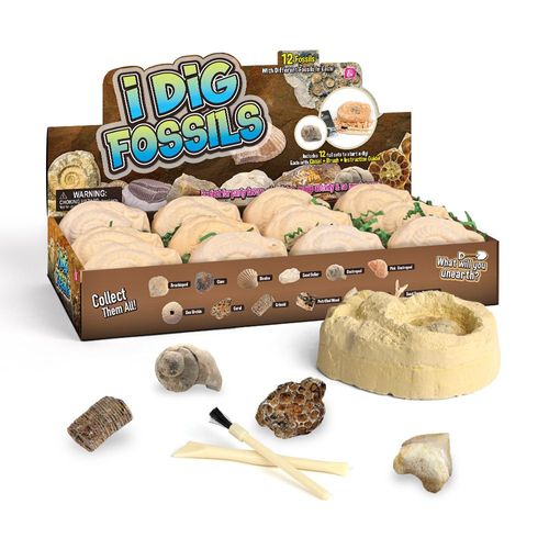Emouf De Dinosaure D'excavation Archéologique Pour Enfants,Puzzle Fossile,Bricolage,Jouet Multijoueur,Science Minière,Cadeau De Fête,12 Pièces - Type D