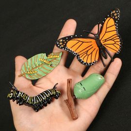Figurine De Simulation De Petit Insecte Pour Enfants,Jouets De Croissance D'animaux,Modèle De Subvention De La Vie,Équation D'araignée,Grenouille,Papillon,Mignon,Bébé,Début - Type Butterfly