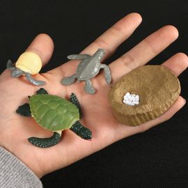 Figurine De Simulation De Petit Insecte Pour Enfants,Jouets De Croissance D'animaux,Modèle De Subvention De La Vie,Équation D'araignée,Grenouille,Papillon,Mignon,Bébé,Début - Type Sea Turtle