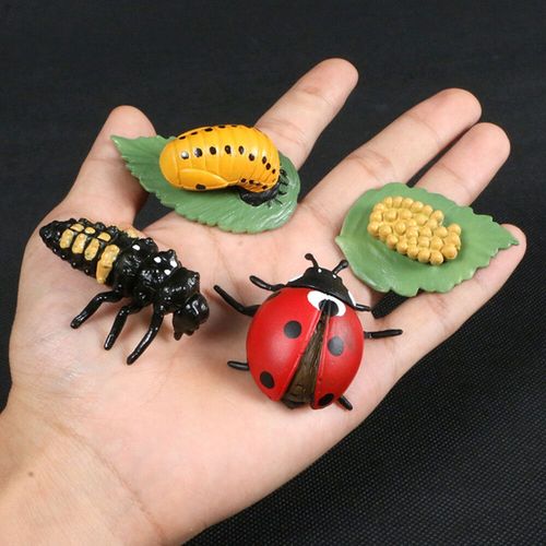 Figurines D'action De Croissance De Papillon En Fuchsia Jetable,Modèle De Subvention De Vie,Simulation D'animaux - Type Ladybug