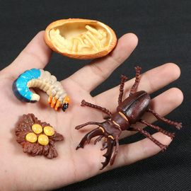 Figurine De Simulation De Petit Insecte Pour Enfants,Jouets De Croissance D'animaux,Modèle De Subvention De La Vie,Équation D'araignée,Grenouille,Papillon,Mignon,Bébé,Début - Type Stag Beetle
