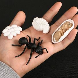 Figurine De Simulation De Petit Insecte Pour Enfants,Jouets De Croissance D'animaux,Modèle De Subvention De La Vie,Équation D'araignée,Grenouille,Papillon,Mignon,Bébé,Début - Type Ant