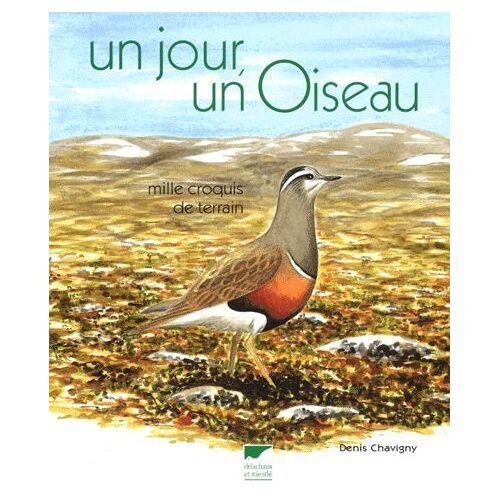 Un Jour, Un Oiseau : Mille Croquis De Terrain