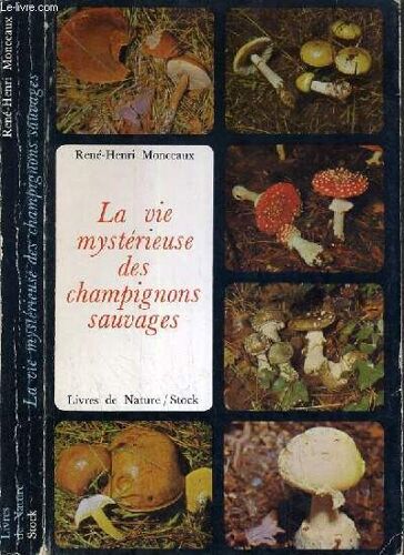La Vie Mysterieuse Des Champignons Sauvages