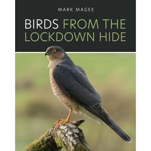 Birds From The Lockdown Hide