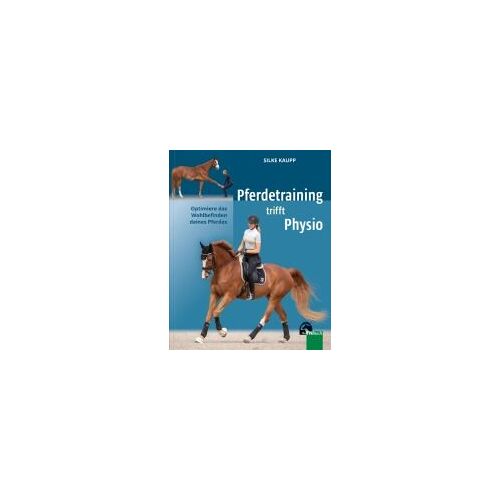 Pferdetraining Trifft Physio
