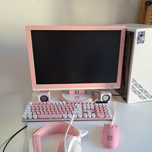 PC Gamer Intel Xeon E5-2640 - Ram 16 Go - DD 1 To rose élégant