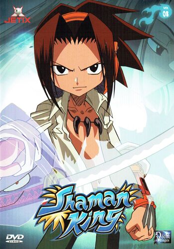 Shaman King Vol 8