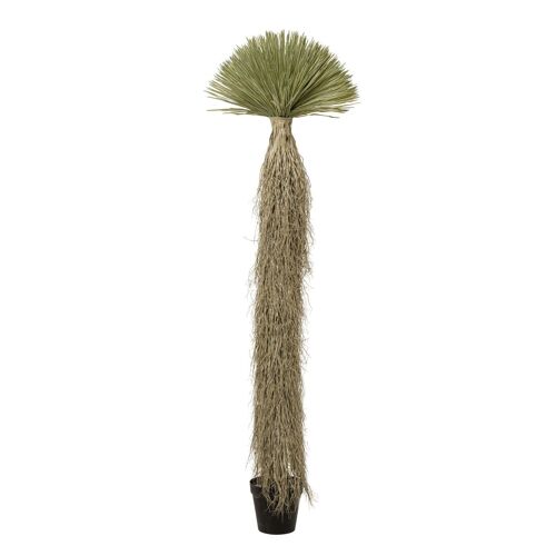 Plante décorative Yucca 240cm Kare Design