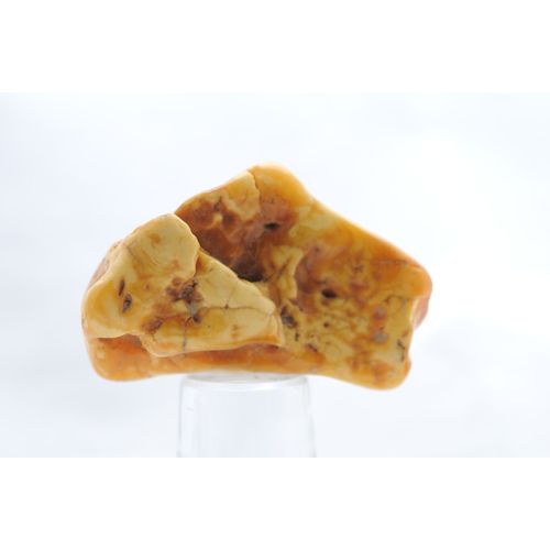 Pièce D'ambre Royal Brut