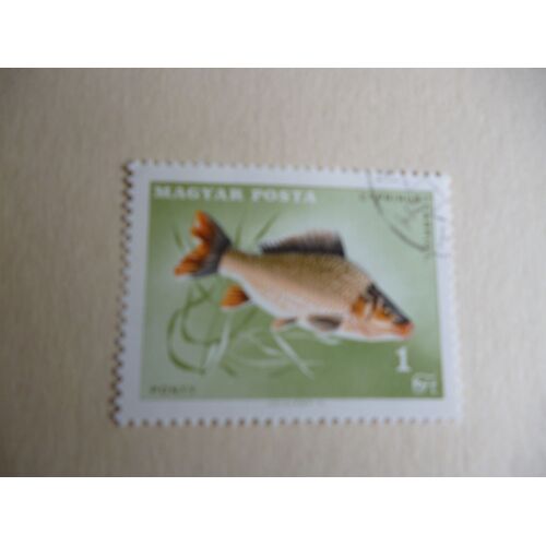Timbre "Magyar Posta :Cyprinus Carpio".