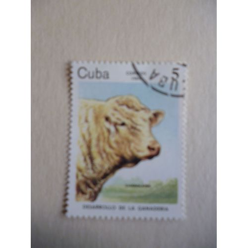 Timbre "Cuba 1984 :Vache Charolaise".