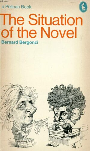 The Situation Of The Novel