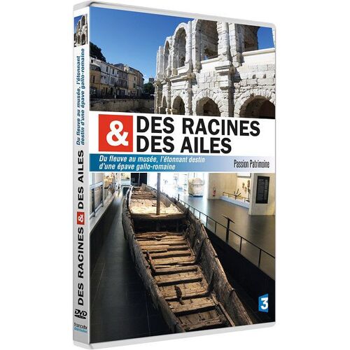Des Racines Et Des Ailes - Passion Patrimoine - Du Fleuve Au Musée, L'étonnant Destin D'une Épave Gallo-Romaine
