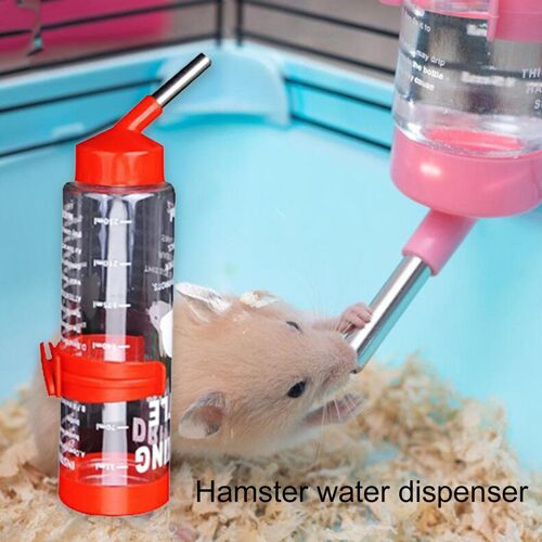 Fontaine À Eau Automatique En Acier Inoxydable Pour Animaux Domestiques, 250ml, Accessoires D'alimentation, Abreuvoir Lapin Hamster