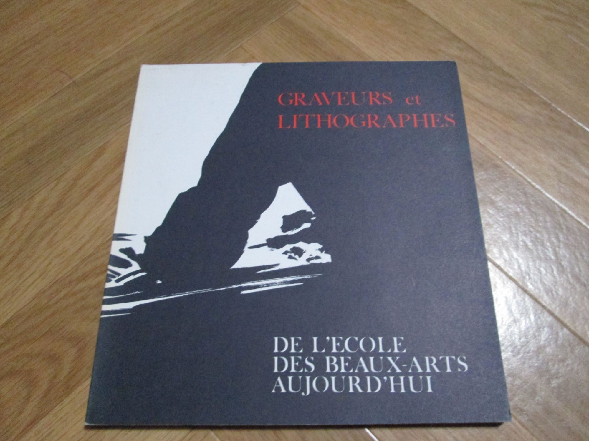 Le Premier Siècle De René Gruau - Art et culture | Rakuten