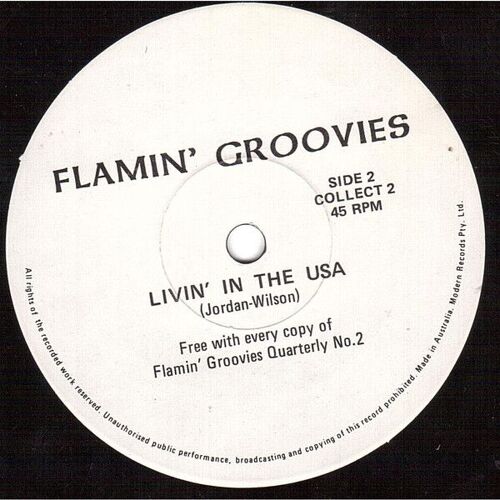 Flamin Groovies 'livin In The Usa" (45t)