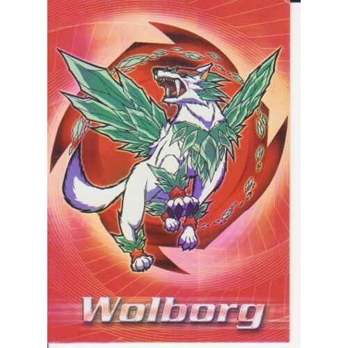 Wolborg Carte N°41 Vo